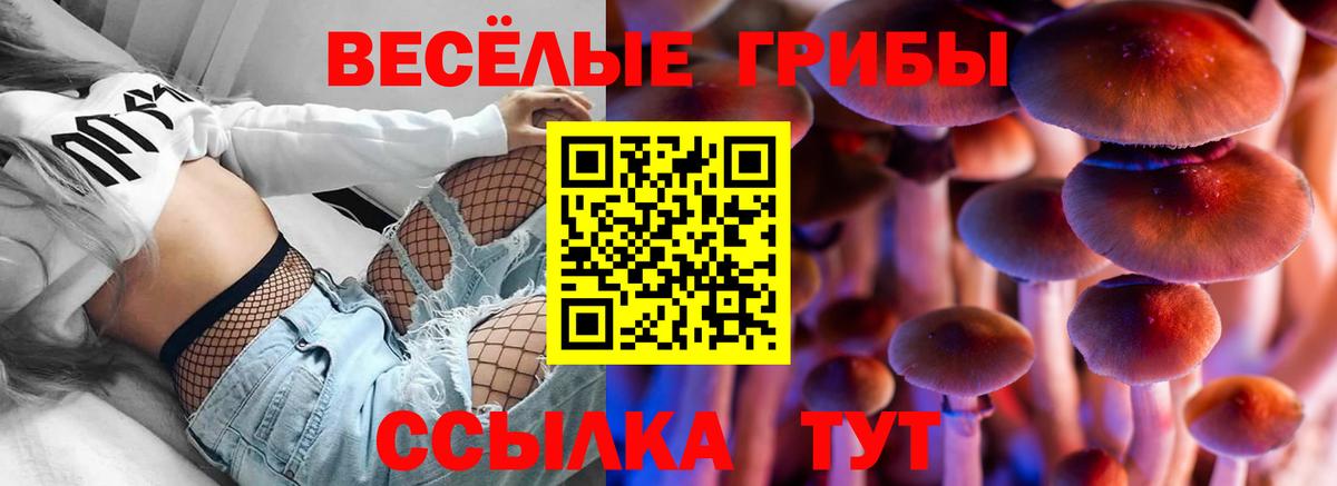 Благовещенск  Галлюциногенные грибы прущие грибы  Вход с VPN 